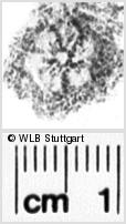 Image Description for https://www.hist-einband.de/Bilder/WLB/MIG/images/s0030862.jpg