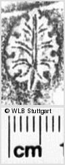 Image Description for https://www.hist-einband.de/Bilder/WLB/MIG/images/s0032311.jpg