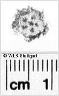 Image Description for https://www.hist-einband.de/Bilder/WLB/MIG/images/s0034017.jpg