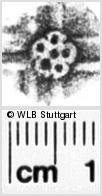 Image Description for https://www.hist-einband.de/Bilder/WLB/MIG/images/s0035407.jpg