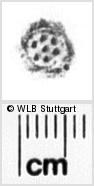 Image Description for https://www.hist-einband.de/Bilder/WLB/MIG/images/s0036108.jpg
