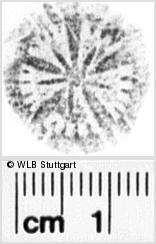 Image Description for https://www.hist-einband.de/Bilder/WLB/MIG/images/s0041906.jpg