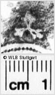 Image Description for https://www.hist-einband.de/Bilder/WLB/MIG/images/s0042232.jpg