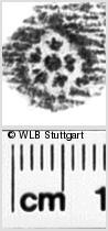 Image Description for https://www.hist-einband.de/Bilder/WLB/MIG/images/s0044412.jpg