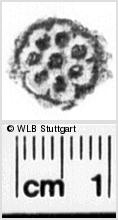 Image Description for https://www.hist-einband.de/Bilder/WLB/MIG/images/s0044505.jpg