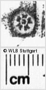 Image Description for https://www.hist-einband.de/Bilder/WLB/MIG/images/s0045633.jpg