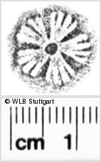 Image Description for https://www.hist-einband.de/Bilder/WLB/MIG/images/s0052035.jpg