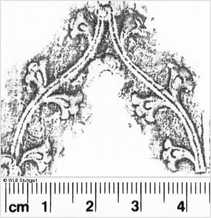 Image Description for https://www.hist-einband.de/Bilder/WLB/MIG/images/s0052218.jpg