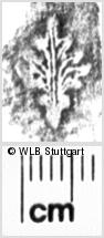 Image Description for https://www.hist-einband.de/Bilder/WLB/MIG/images/s0054010.jpg