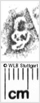 Image Description for https://www.hist-einband.de/Bilder/WLB/MIG/images/s0054408.jpg