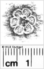 Image Description for https://www.hist-einband.de/Bilder/WLB/MIG/images/s0056206.jpg
