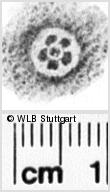 Image Description for https://www.hist-einband.de/Bilder/WLB/MIG/images/s0061507.jpg