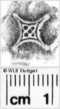 Image Description for https://www.hist-einband.de/Bilder/WLB/MIG/images/s0063506.jpg