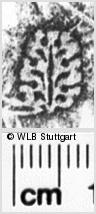 Image Description for https://www.hist-einband.de/Bilder/WLB/MIG/images/s0063509.jpg