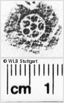 Image Description for https://www.hist-einband.de/Bilder/WLB/MIG/images/s0064208.jpg