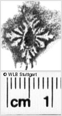 Image Description for https://www.hist-einband.de/Bilder/WLB/MIG/images/s0065610.jpg