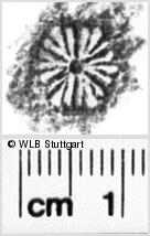 Image Description for https://www.hist-einband.de/Bilder/WLB/MIG/images/s0066006.jpg