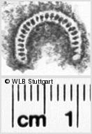 Image Description for https://www.hist-einband.de/Bilder/WLB/MIG/images/s0072019.jpg