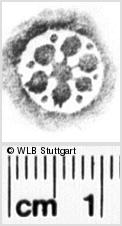 Image Description for https://www.hist-einband.de/Bilder/WLB/MIG/images/s0072411.jpg