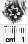 Image Description for https://www.hist-einband.de/Bilder/WLB/MIG/images/s0073311.jpg