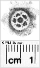 Image Description for https://www.hist-einband.de/Bilder/WLB/MIG/images/s0074212.jpg
