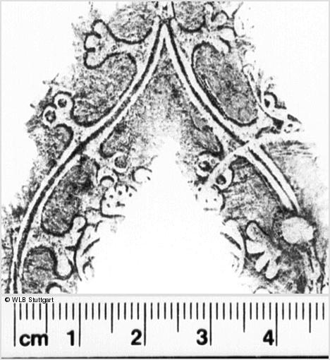 Image Description for https://www.hist-einband.de/Bilder/WLB/MIG/images/s0082802.jpg