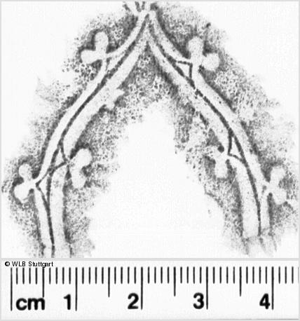 Image Description for https://www.hist-einband.de/Bilder/WLB/MIG/images/s0084320.jpg