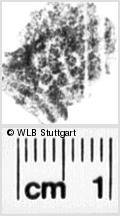 Image Description for https://www.hist-einband.de/Bilder/WLB/MIG/images/s0092310.jpg