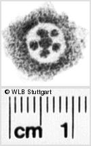 Image Description for https://www.hist-einband.de/Bilder/WLB/MIG/images/s0092709.jpg