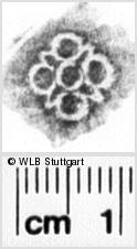 Image Description for https://www.hist-einband.de/Bilder/WLB/MIG/images/s0101007.jpg