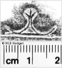 Image Description for https://www.hist-einband.de/Bilder/WLB/MIG/images/s0102211.jpg