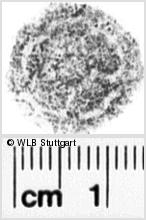 Image Description for https://www.hist-einband.de/Bilder/WLB/MIG/images/s0102708.jpg