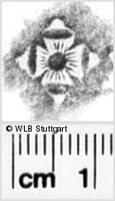 Image Description for https://www.hist-einband.de/Bilder/WLB/MIG/images/s0103711.jpg