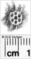 Image Description for https://www.hist-einband.de/Bilder/WLB/MIG/images/s0104807.jpg