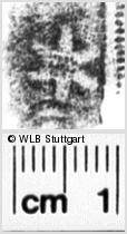 Image Description for https://www.hist-einband.de/Bilder/WLB/MIG/images/s0104909.jpg