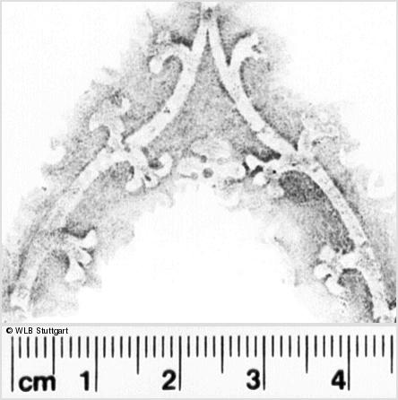 Image Description for https://www.hist-einband.de/Bilder/WLB/MIG/images/s0110438.jpg