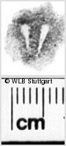 Image Description for https://www.hist-einband.de/Bilder/WLB/MIG/images/s0110506.jpg