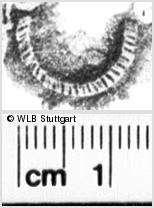 Image Description for https://www.hist-einband.de/Bilder/WLB/MIG/images/s0111511.jpg