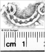 Image Description for https://www.hist-einband.de/Bilder/WLB/MIG/images/s0111515.jpg