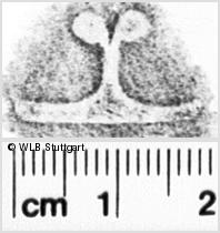 Image Description for https://www.hist-einband.de/Bilder/WLB/MIG/images/s0112027.jpg