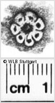 Image Description for https://www.hist-einband.de/Bilder/WLB/MIG/images/s0112404.jpg