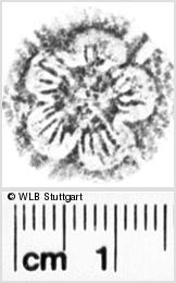 Image Description for https://www.hist-einband.de/Bilder/WLB/MIG/images/s0112607.jpg
