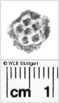 Image Description for https://www.hist-einband.de/Bilder/WLB/MIG/images/s0112611.jpg