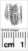 Image Description for https://www.hist-einband.de/Bilder/WLB/MIG/images/s0112714.jpg