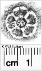 Image Description for https://www.hist-einband.de/Bilder/WLB/MIG/images/s0112808.jpg