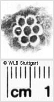 Image Description for https://www.hist-einband.de/Bilder/WLB/MIG/images/s0113006.jpg