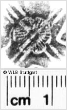 Image Description for https://www.hist-einband.de/Bilder/WLB/MIG/images/s0113011.jpg