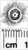 Image Description for https://www.hist-einband.de/Bilder/WLB/MIG/images/s0113308.jpg