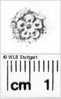 Image Description for https://www.hist-einband.de/Bilder/WLB/MIG/images/s0121405.jpg