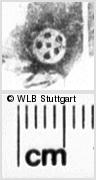 Image Description for https://www.hist-einband.de/Bilder/WLB/MIG/images/s0122616.jpg